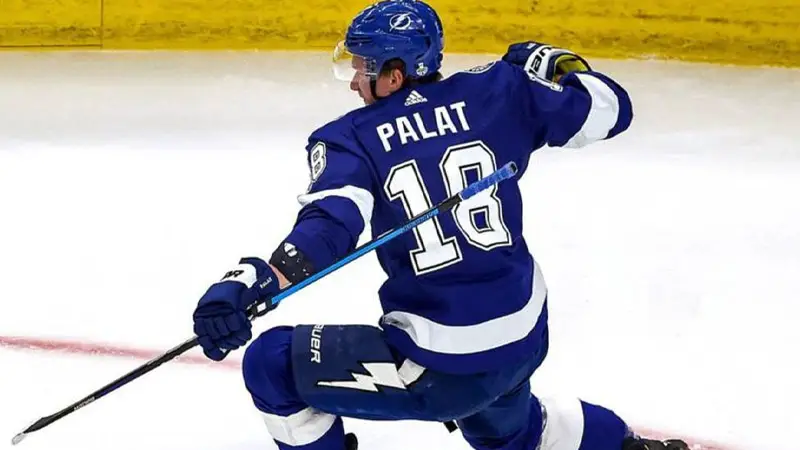 How Palat’s Nationality Has Impacted His Hockey Journey?