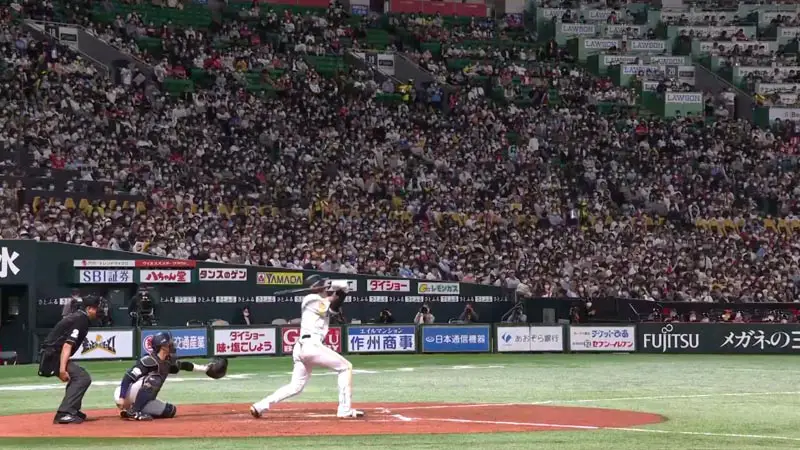 Nippon Professional Baseball (NPB)