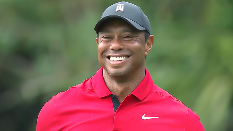 tiger woods ethnicity and nationality