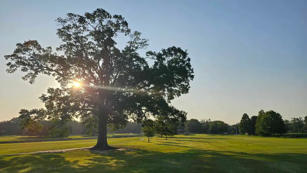 BRECs-Webb-Memorial-Golf-Course