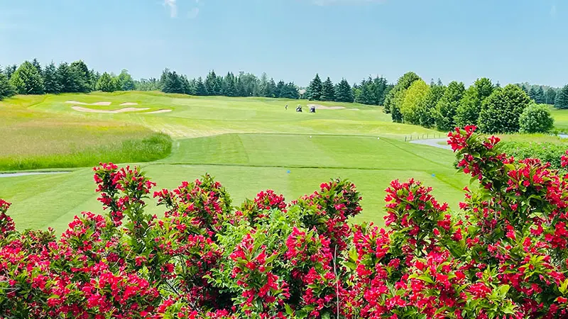 Ballantrae Golf Club