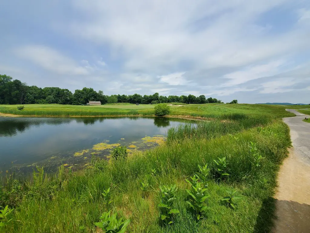 Ballyowen-Golf-Club-2