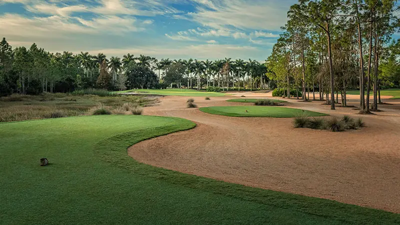 Black Course at Tiburon Golf Club