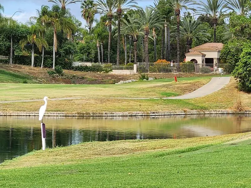 California Oaks Golf Club