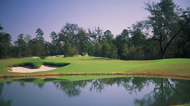 Carter Plantation