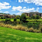 Cattails at MeadowView Golf Course