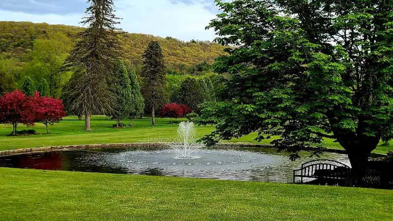 Chenango Commons Golf Course