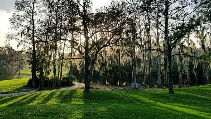 Copperhead Course at Innisbrook