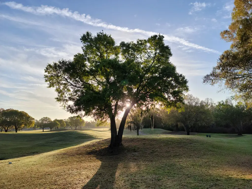 Cypress-Creek-Golf-Club