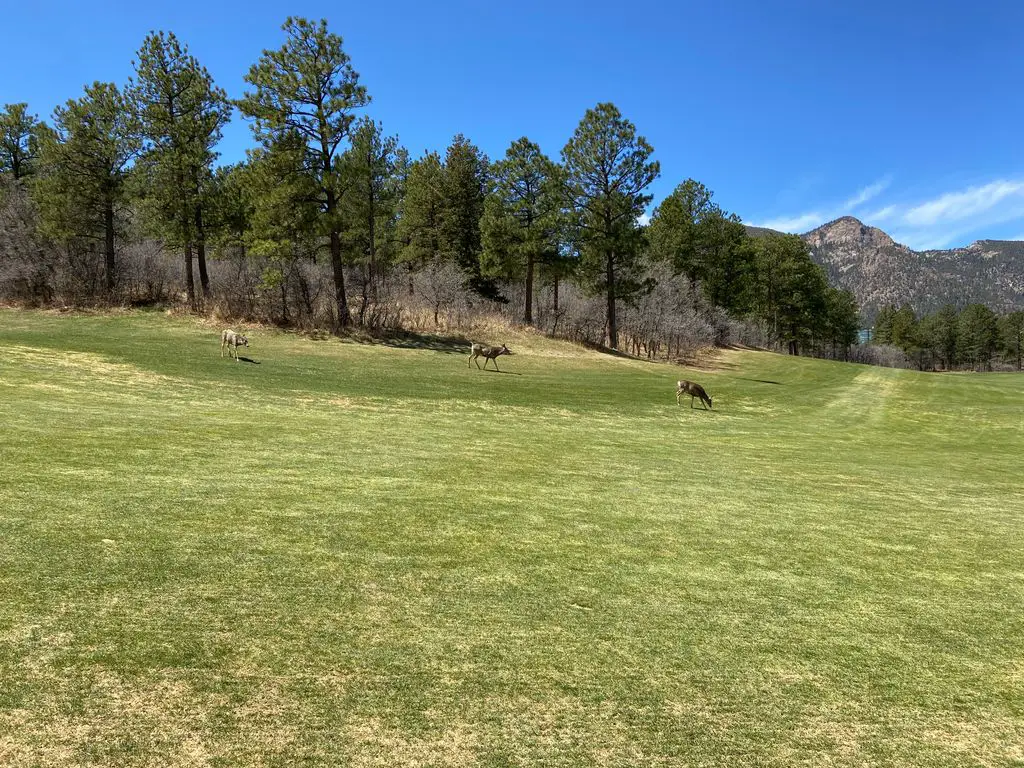 Eisenhower-Golf-Course