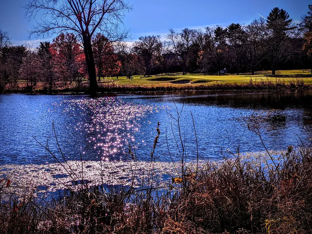 Fresh-Pond-Golf-Course-1