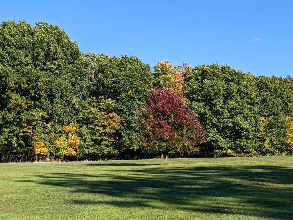 Green-Ridge-Golf-Course