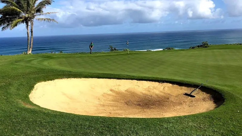 Hawaii Tee Times