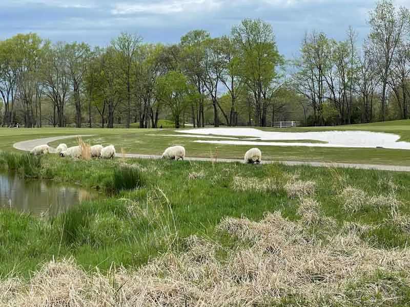 Hermitage Golf Course