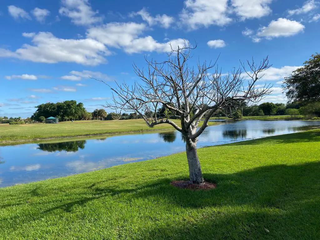 Heron-Bay-Golf-Club