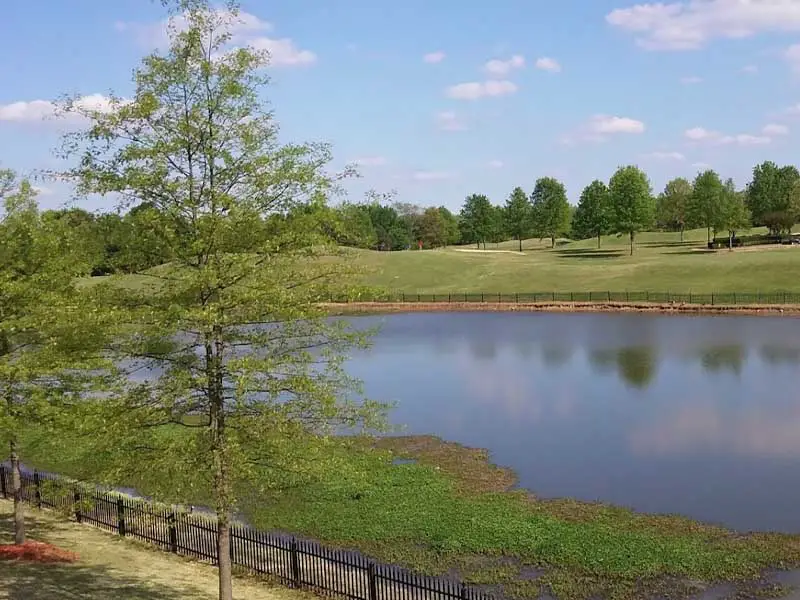 Irene Golf Course