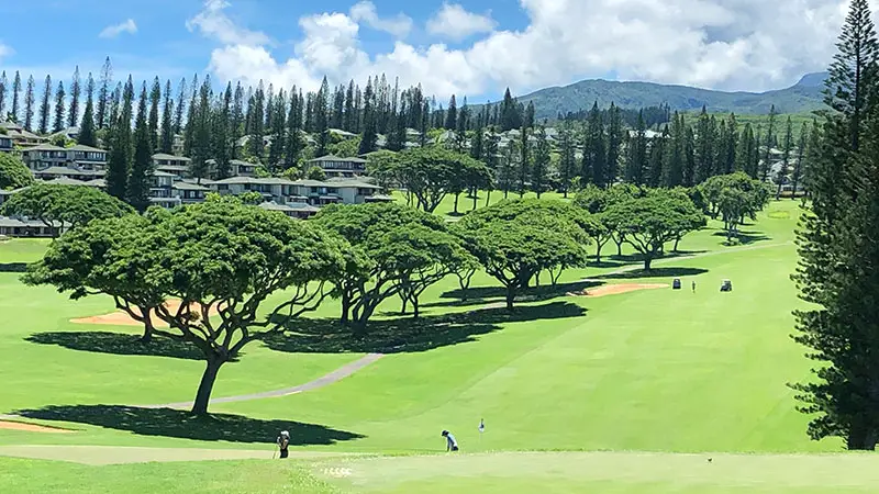 Kapalua Bay