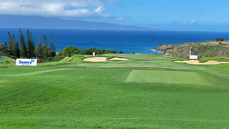 Kapalua: Plantation