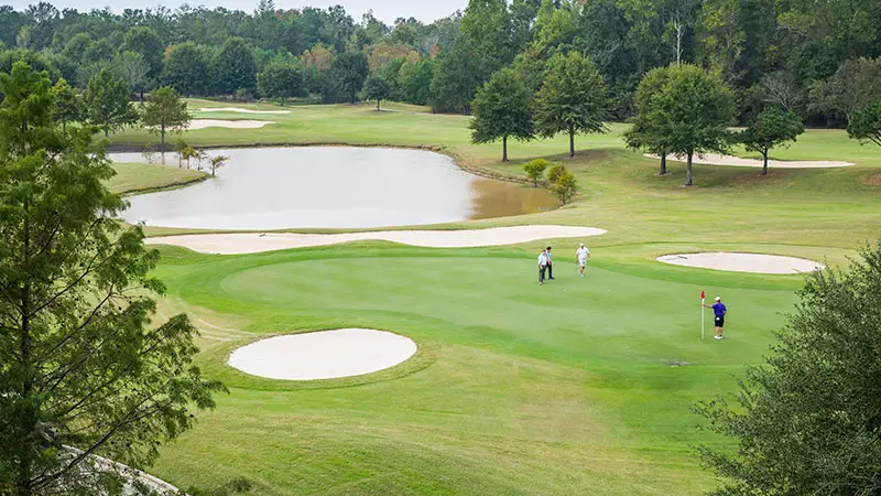 Koasati Pines At Coushatta