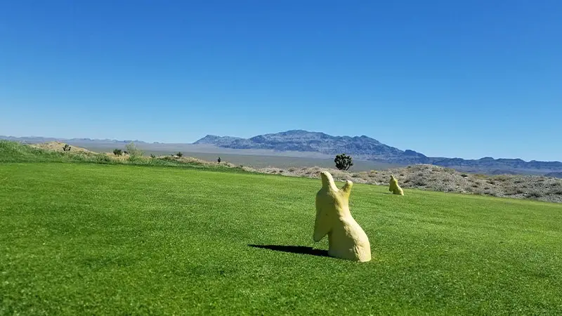 Las Vegas Paiute Golf Resort - Sun Mountain