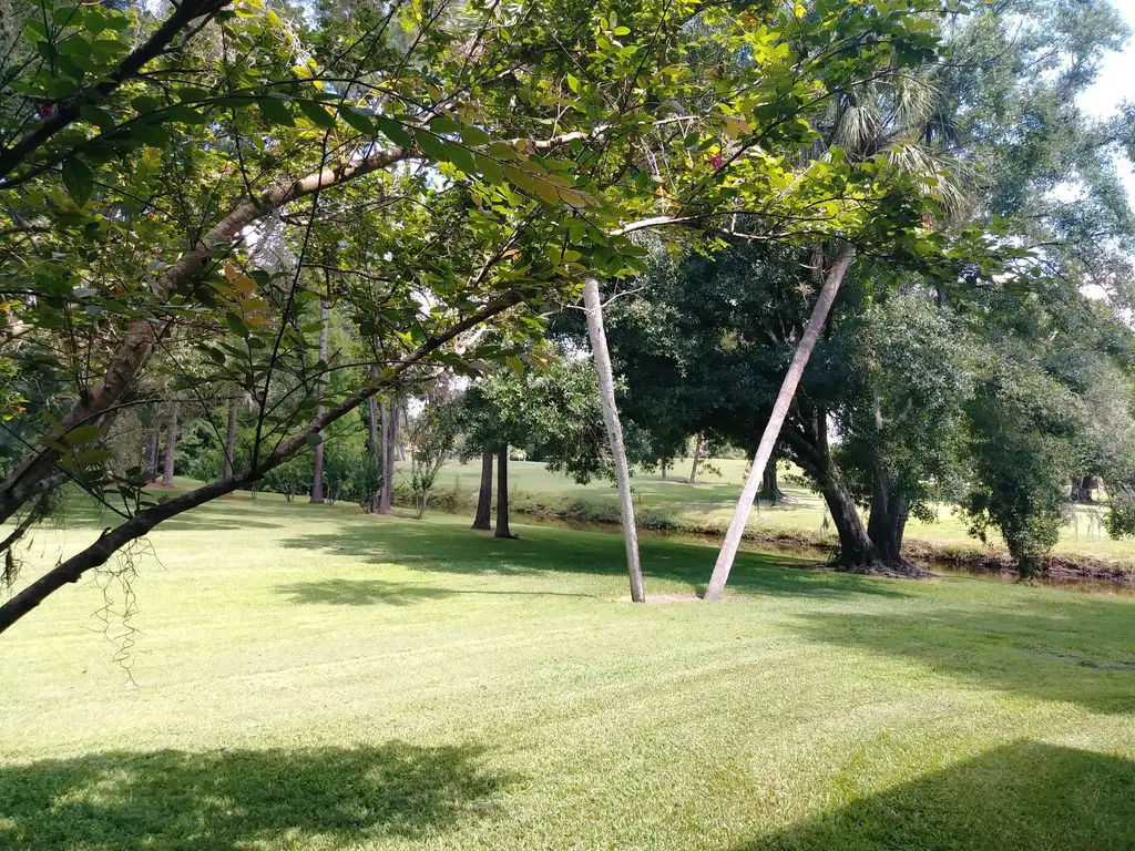 Lone-Palm-Golf-Club-1