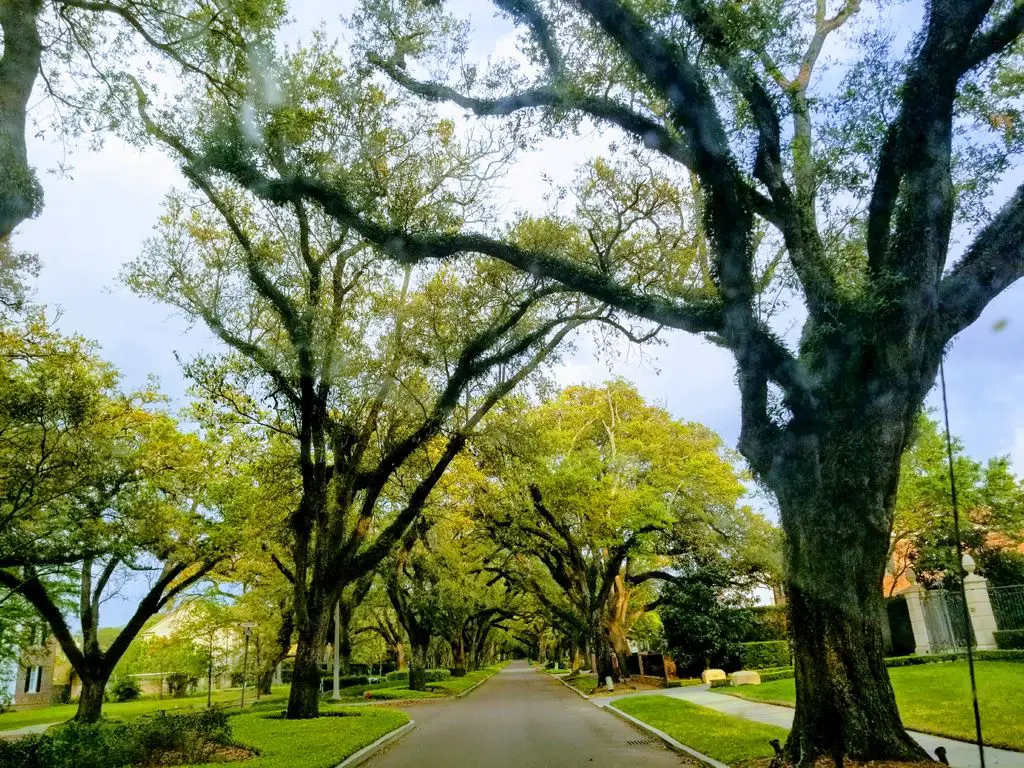 Metairie-Country-Club-1