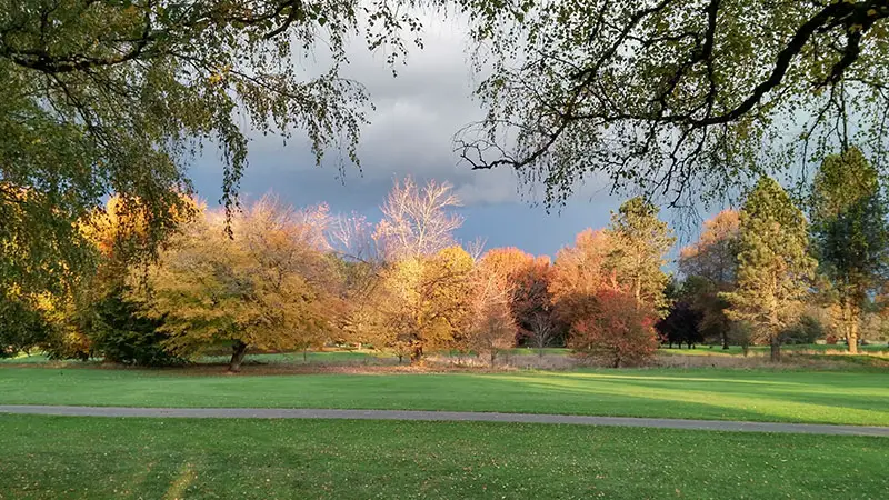 Mint Valley Golf Course