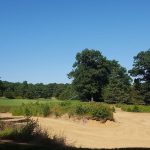 Pine Barrens Golf Club