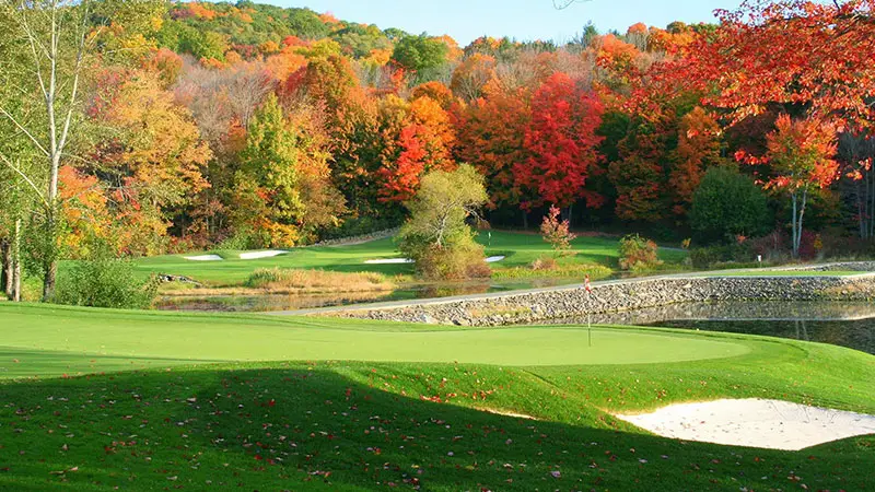 Richter Park, Danbury