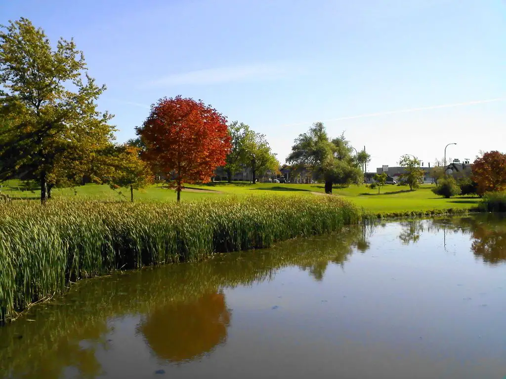 Sheridan-Park-Golf-Course-2