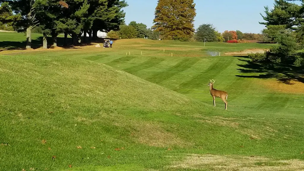 Springfield-Twp-Golf-Course