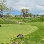 Stoney Creek Golf Course