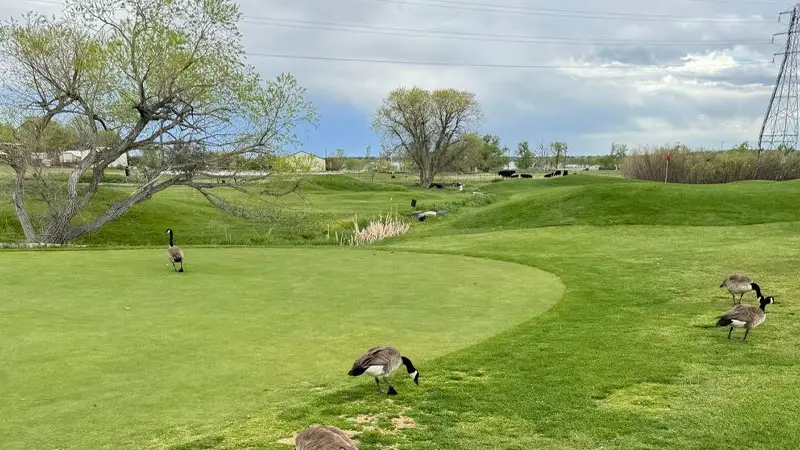 Stoney Creek Golf Course