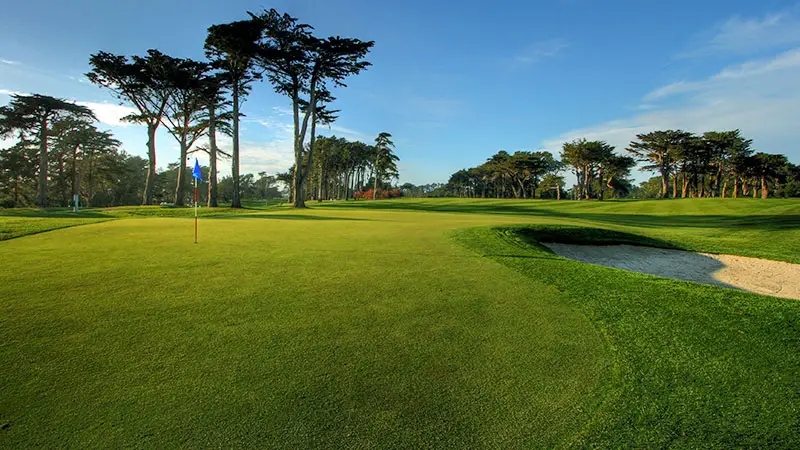 TPC Harding Park