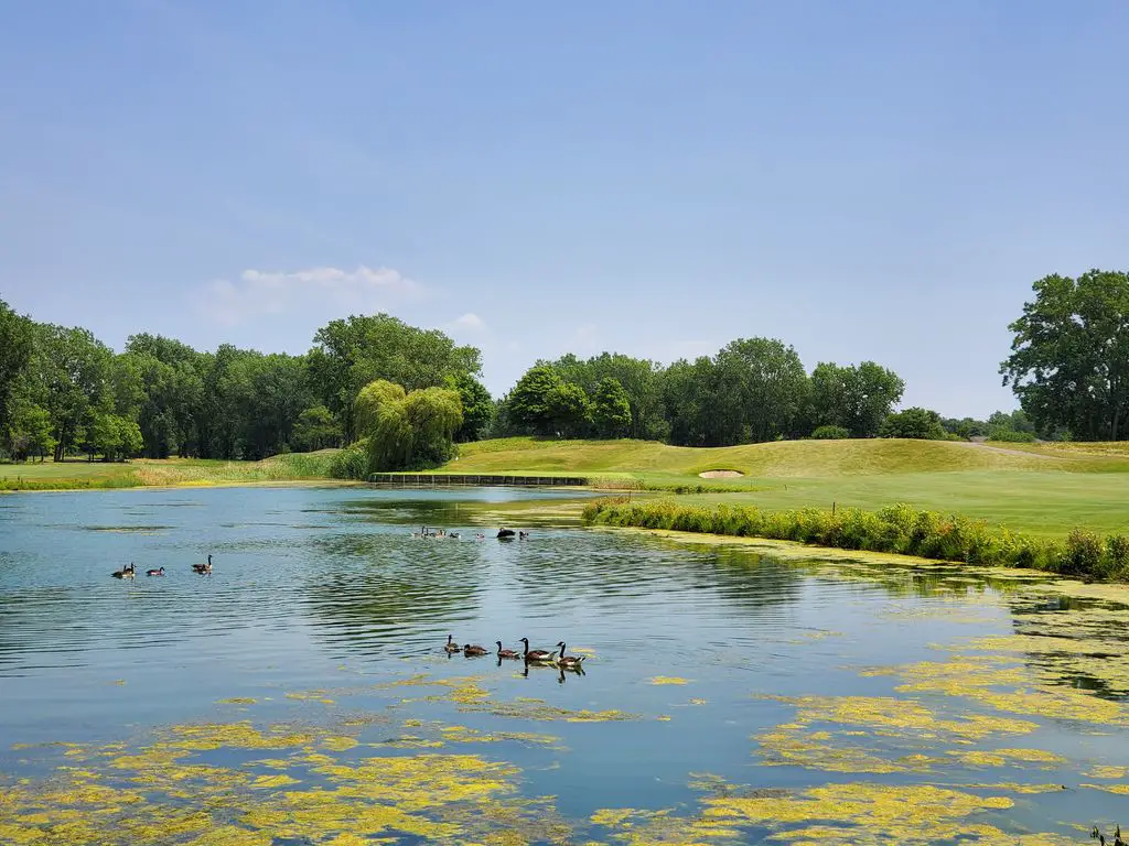 TPC-Michigan-1