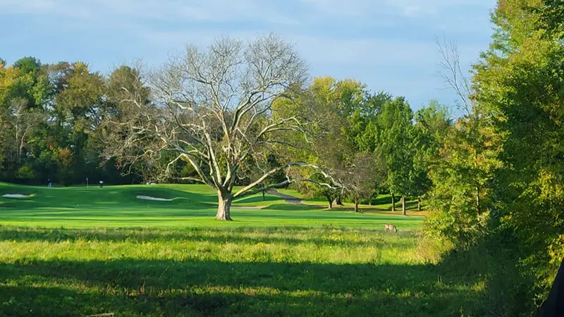 Talamore Country Club