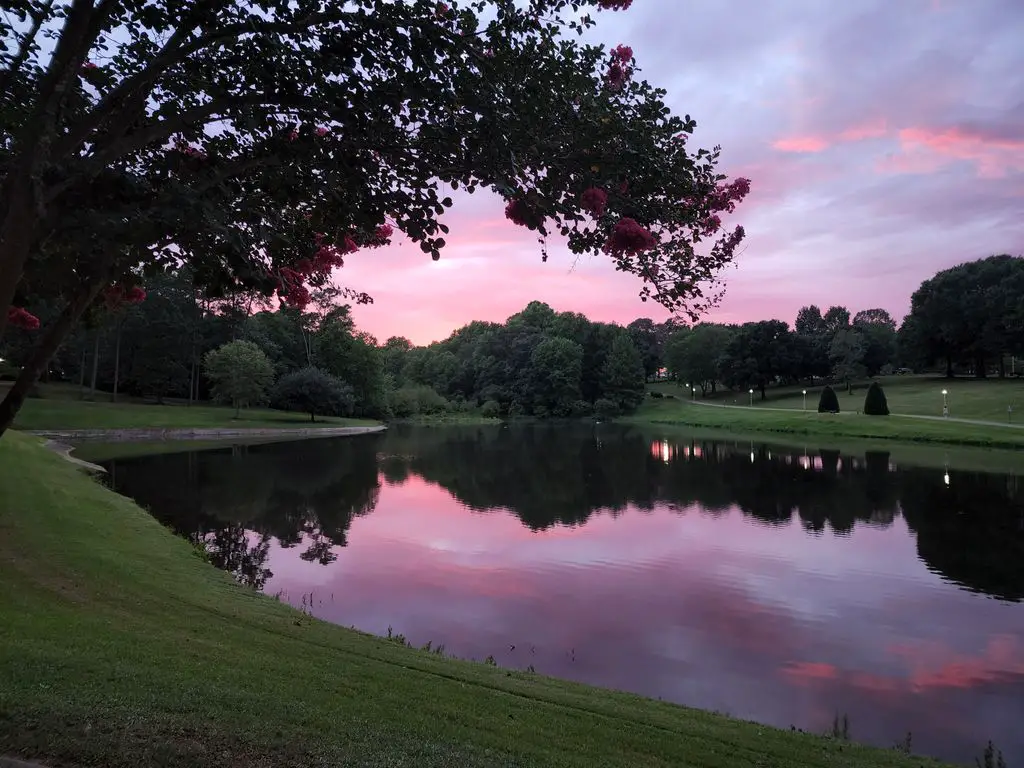 The-LZ-Disc-Golf-Course-1