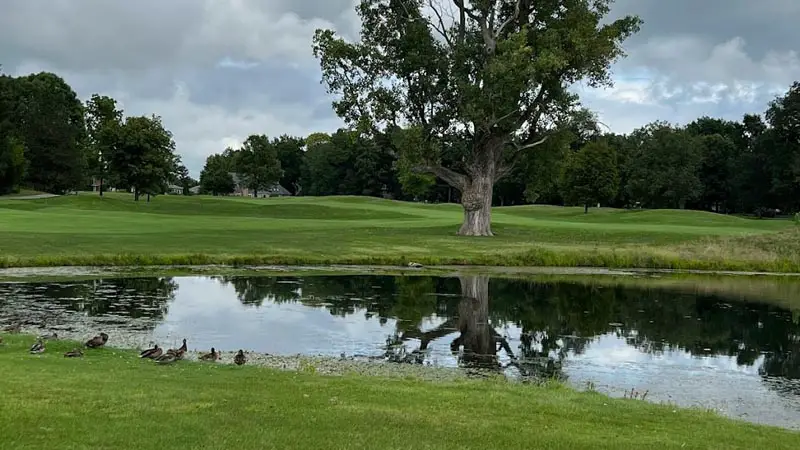 The Players Club at Woodland Trails