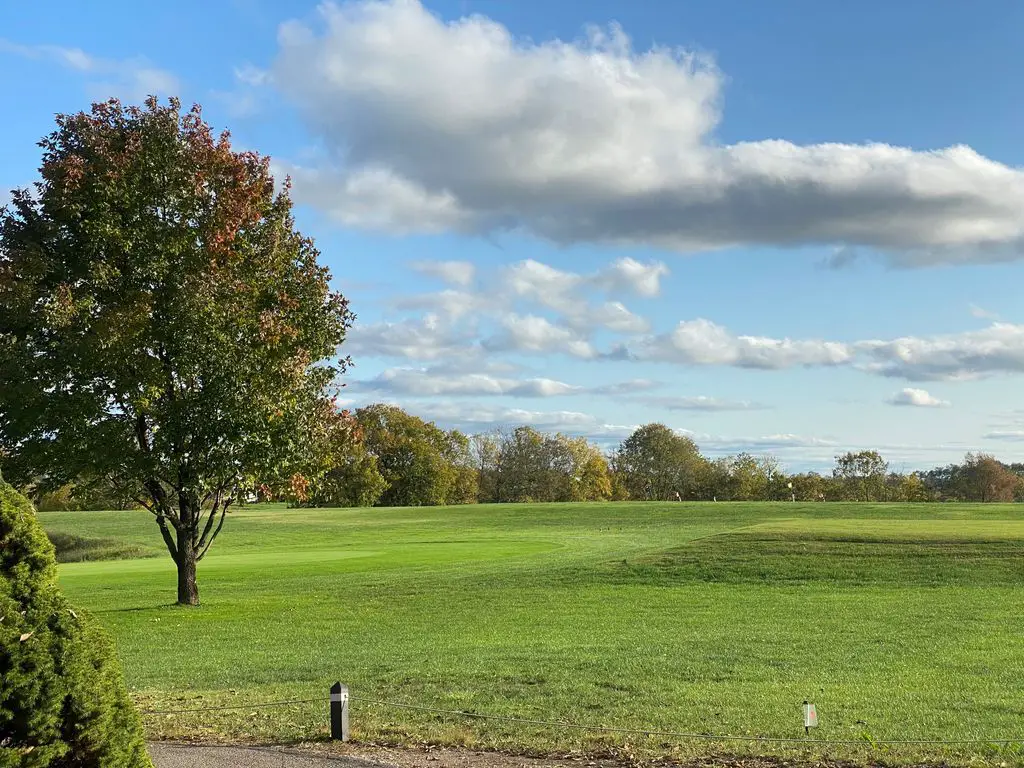 Thoroughbred-Golf-Club