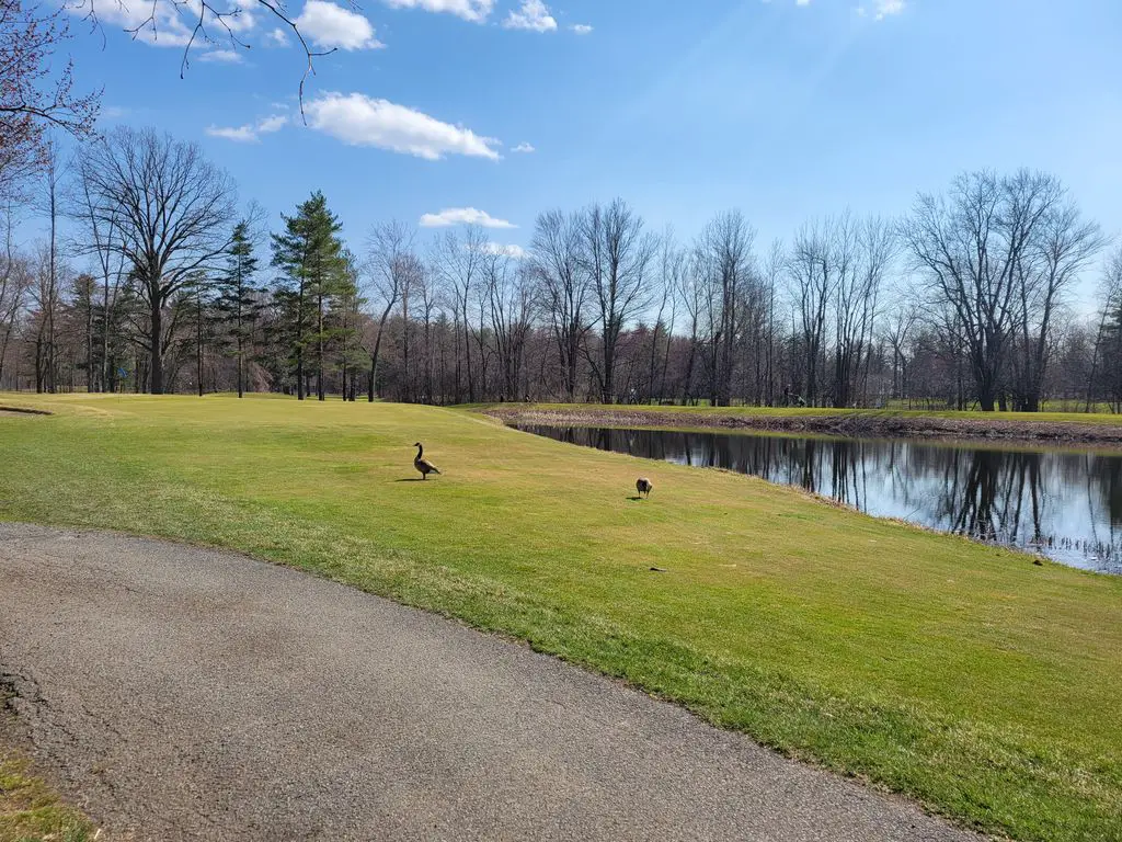 Town-of-Colonie-Golf-Course