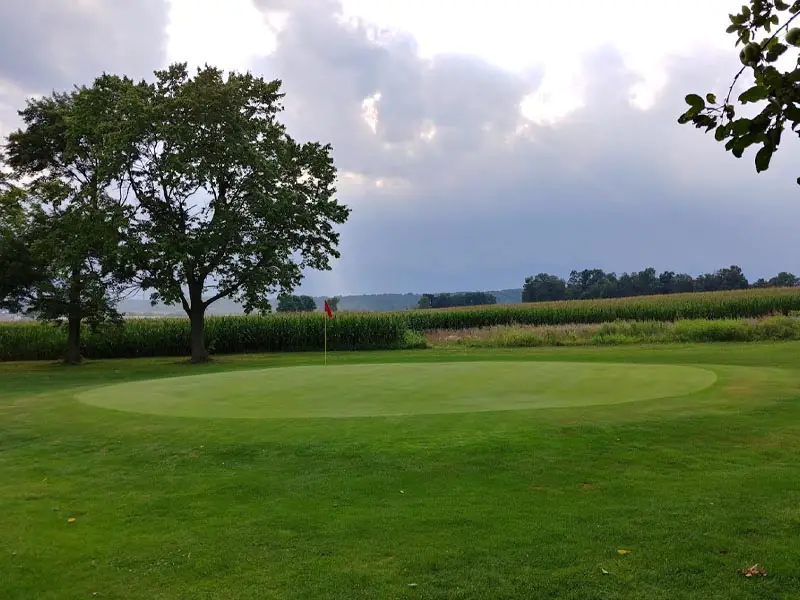 Tree Top Golf Course