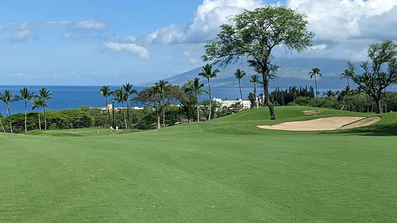 Wailea Golf Club: Emerald