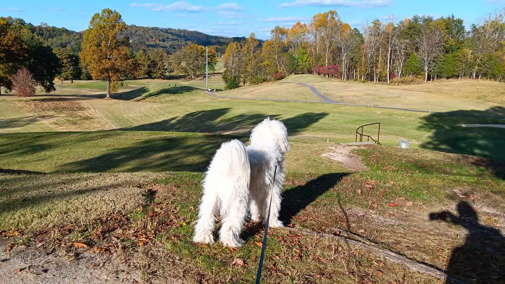 Warriors-Path-Golf-Course