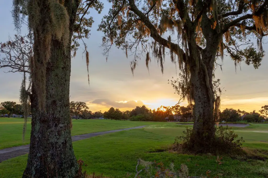 Wedgefield-Golf-Club-1