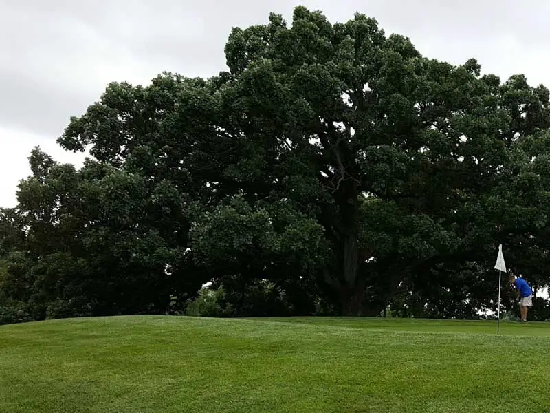 Blackhawk Golf Course