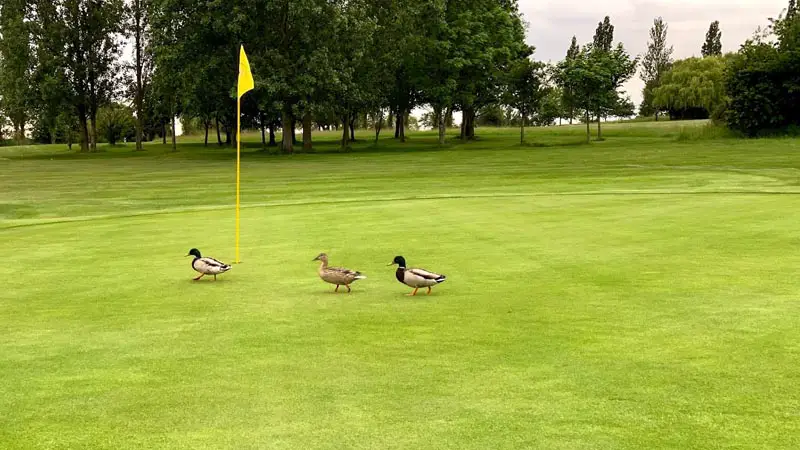 Burnham-on-Crouch Golf Club