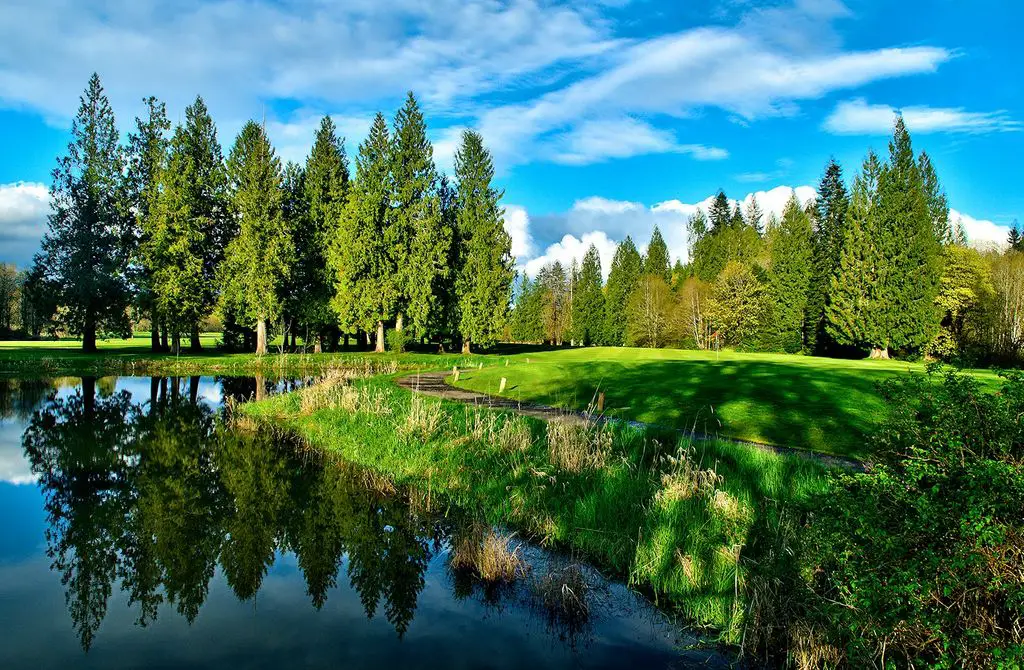 Cedars-On-Salmon-Creek