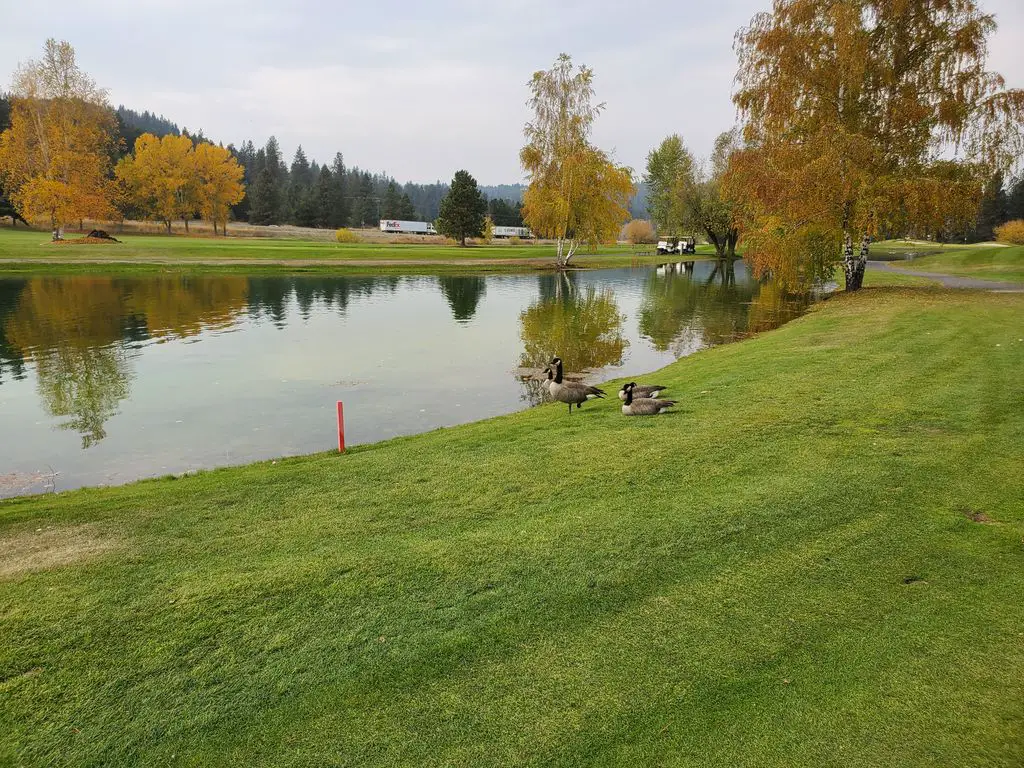 Creek-at-Qualchan-Golf-Course-1