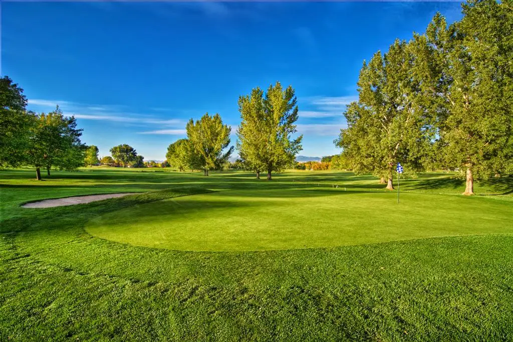 Forest-Dale-Golf-Course-1