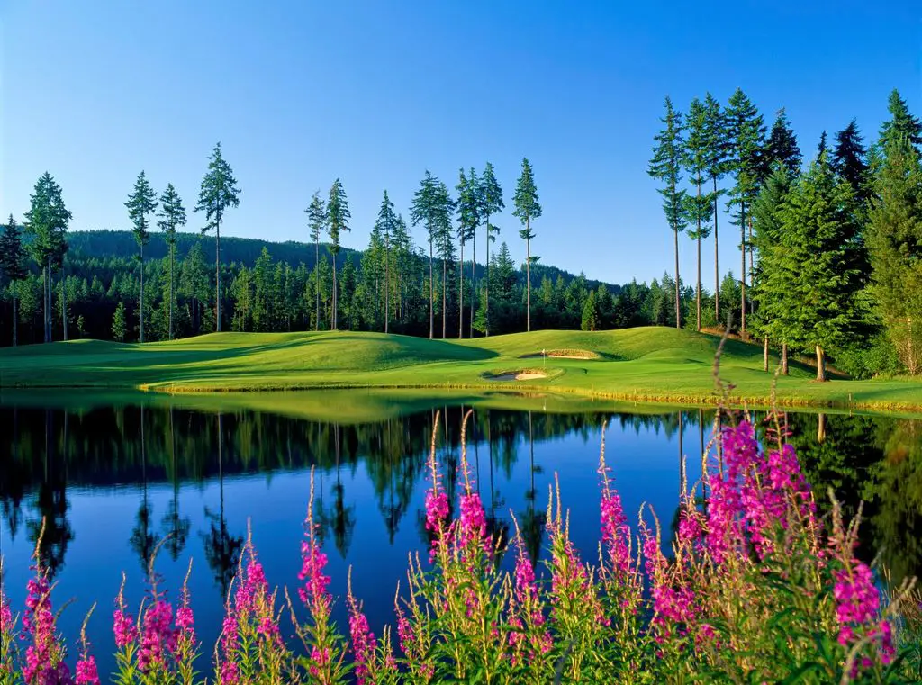 Gold-Mountain-Golf-Club